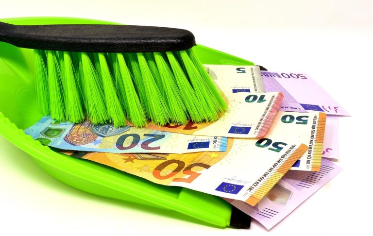 Colf e badanti al lavoro in un ambiente domestico, riflettendo i nuovi minimi retributivi.